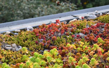 the cost of Low Worsall green roof installation