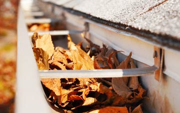 Low Worsall gutter cleaning companies