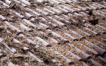 Low Worsall roof cleaning companies